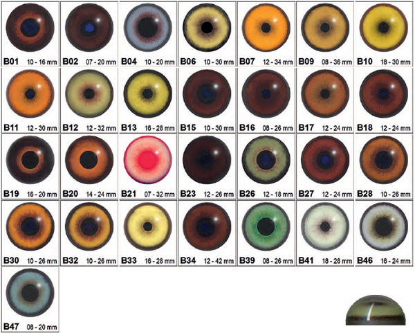 CC-Glass Eyes for Mammals